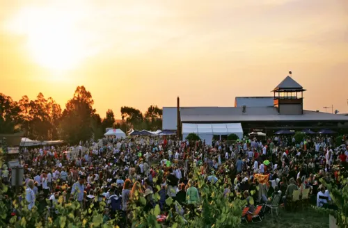 Rochford Wines